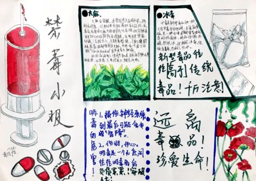 無毒青春 健康生活 福州教院二附中開展6.26禁毒教育活動