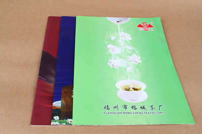 宣傳品設計-宣傳畫冊 產品畫冊 企業畫冊 A416P 500本 公司畫冊 宣傳冊.