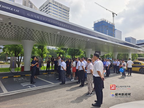 福州市政協(xié)開(kāi)展新能源產(chǎn)業(yè)培育視察活動(dòng)，助力綠色經(jīng)濟(jì)發(fā)展