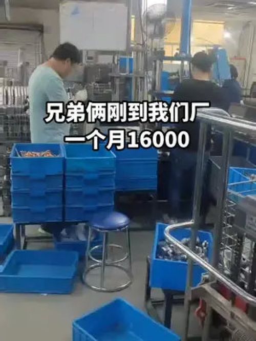 手足同心筑夢廠區，兄弟合力點亮人生